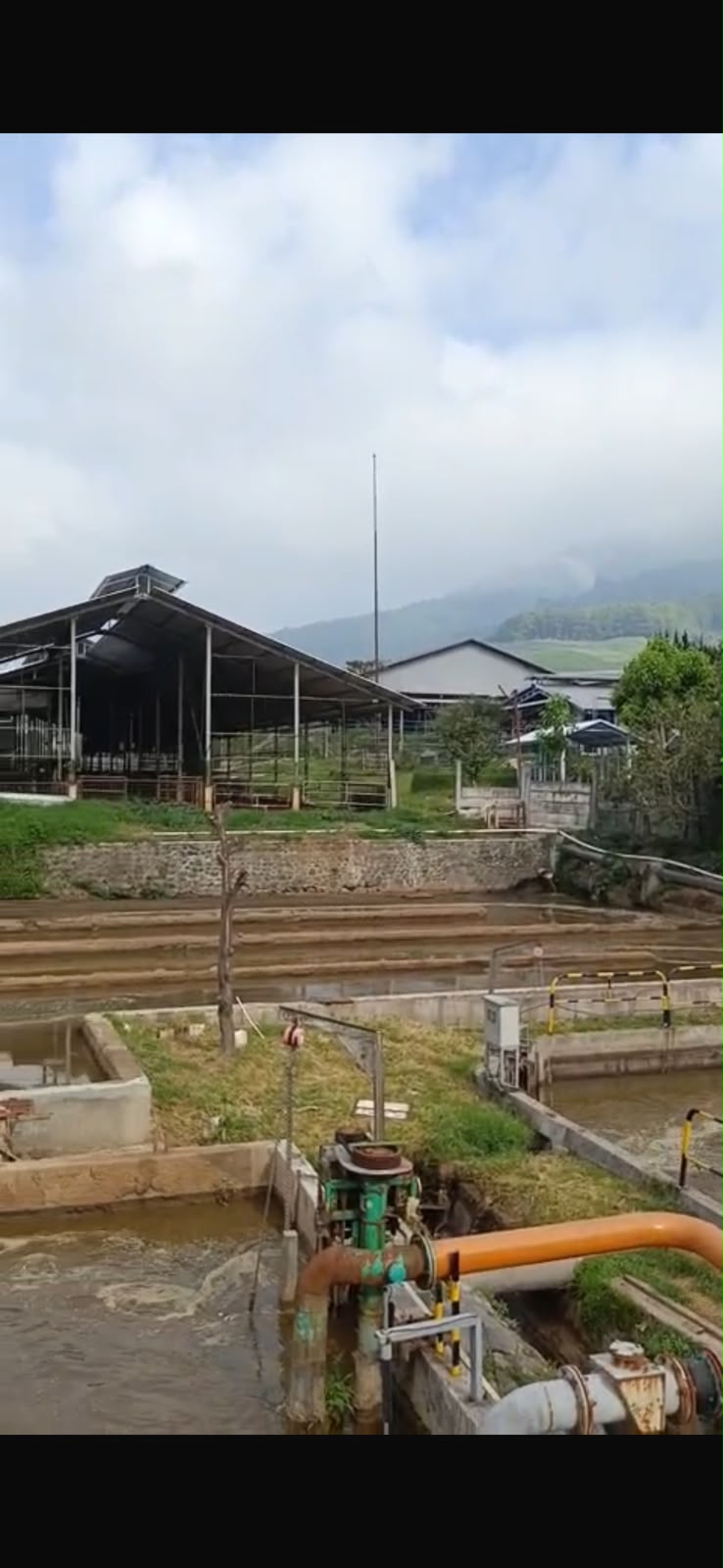 Penampungan limbah organik